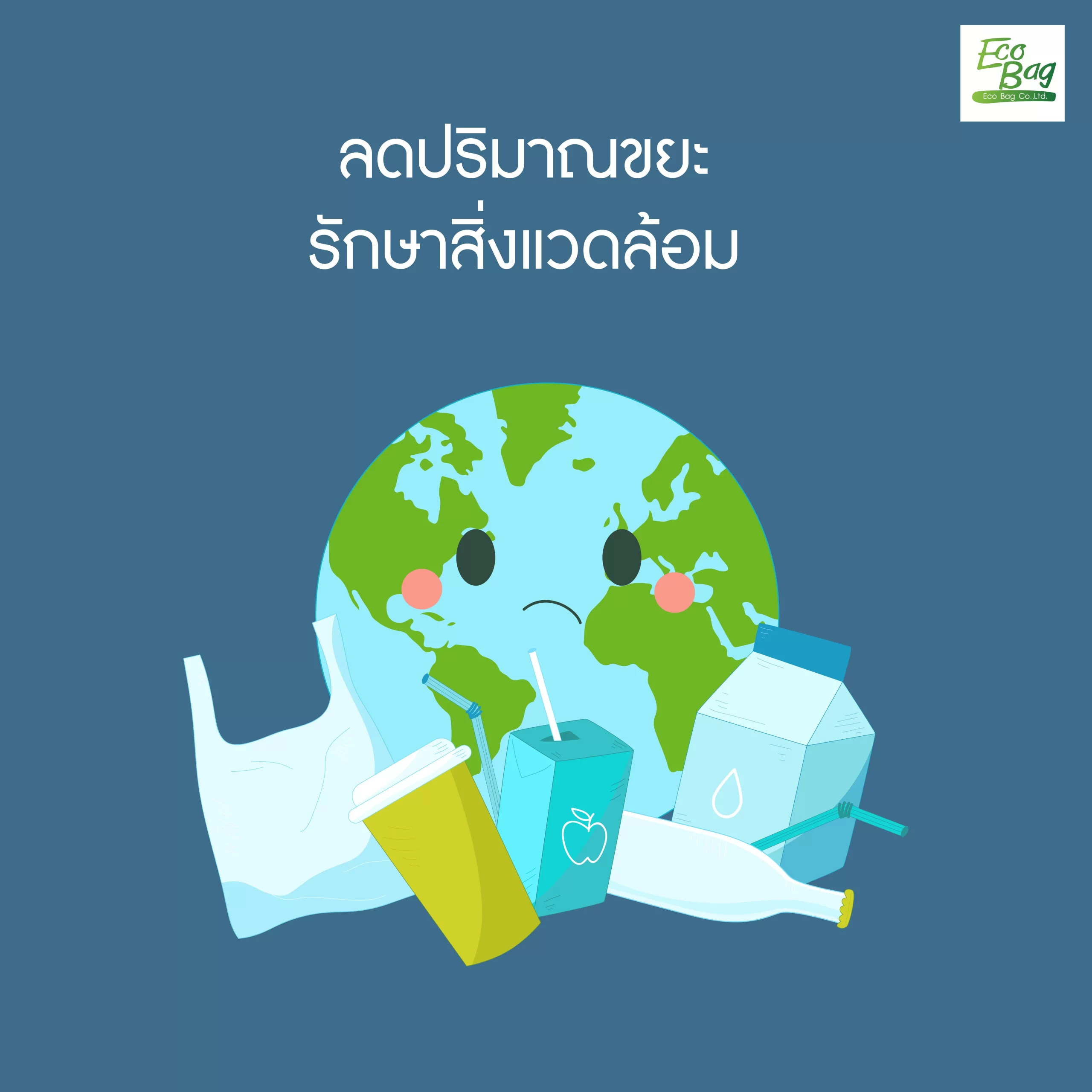 Eco Bag