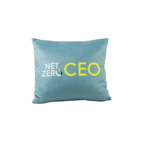 หมอน NET ZERO CEO