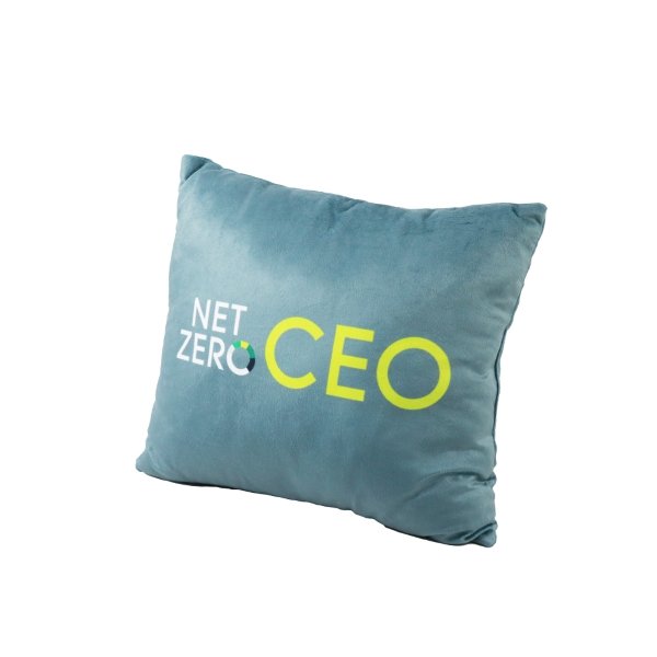 หมอน NET ZERO CEO