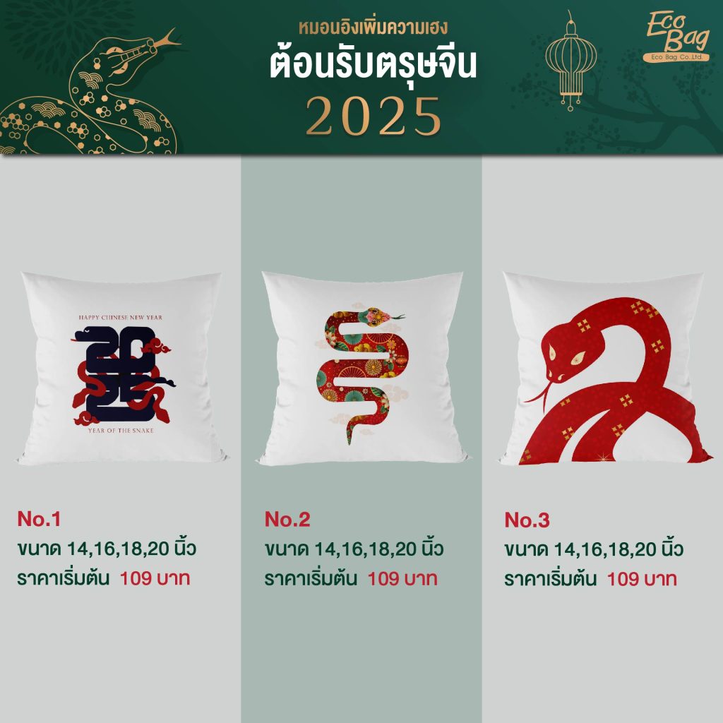 หมอนecobag 01