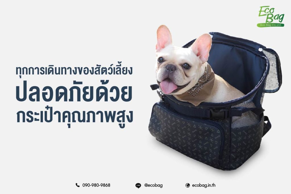 ทุกการเดินทางของสัตว์เลี้ยง ปลอดภัยด้วยกระเป๋าคุณภาพสูง